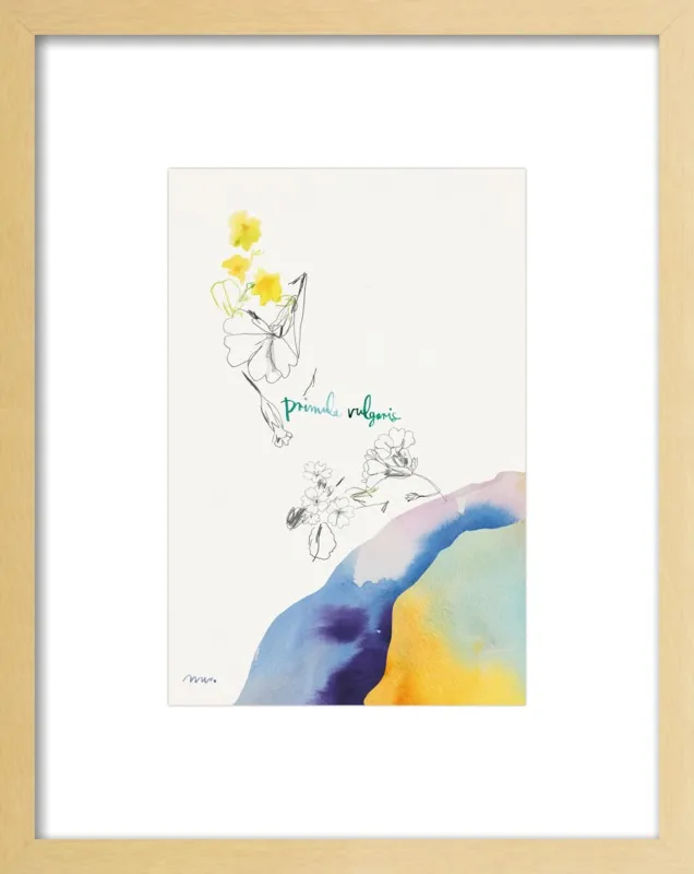Primula Vulgaris by META WRABER for Artfully Walls