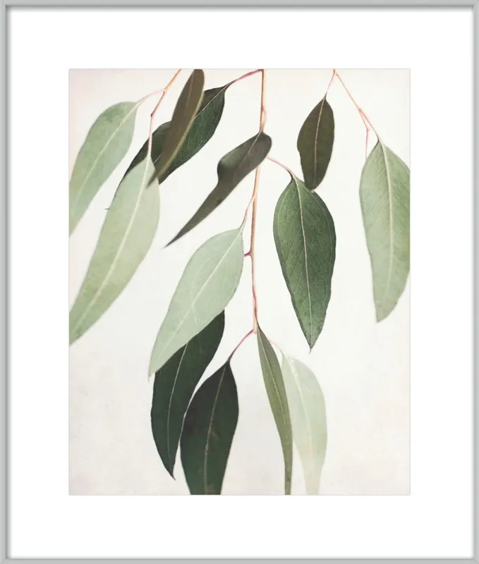 Eucalyptus Spring Three by Lupen Grainne for Artfully Walls