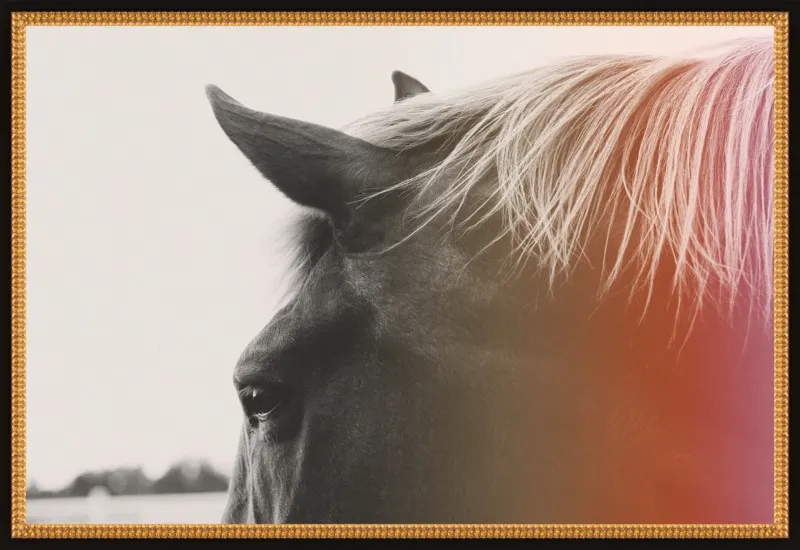 Pink Pony by Alicia Bock for Artfully Walls