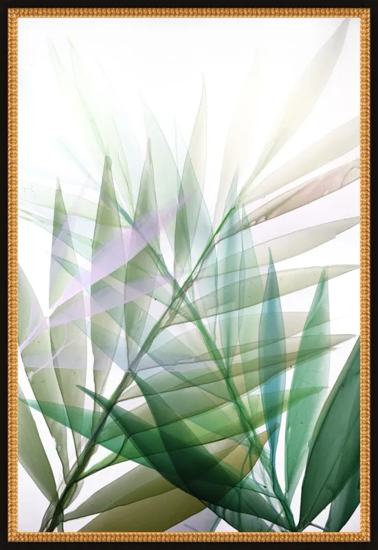 Tropical Study no. 8 by Marina Dunbar  for Artfully Walls