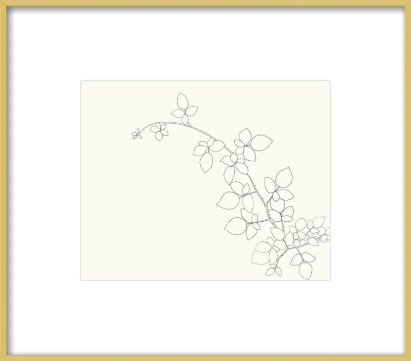 Blackberry  by Jorey Hurley for Artfully Walls