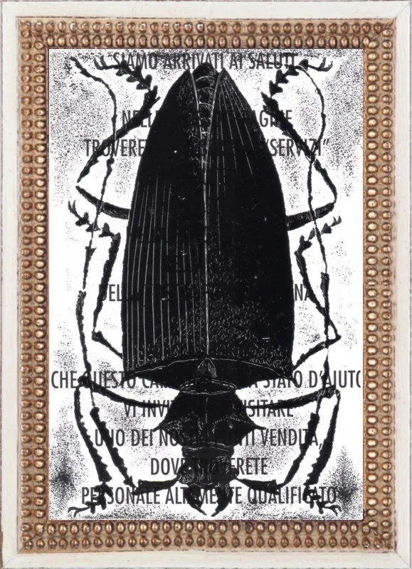 Black Beetle on Words by Tennopent Sooster for Artfully Walls