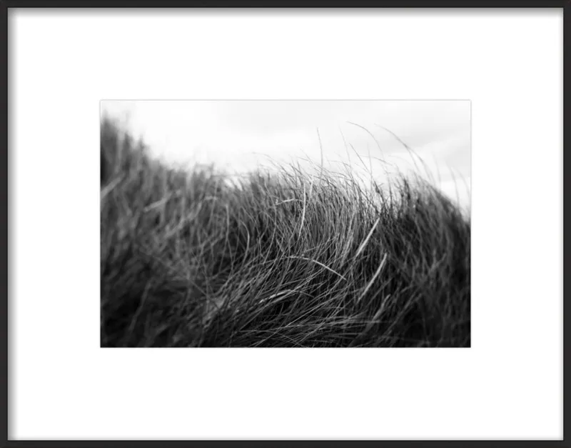Beach Grass #3 by Alicia Bock for Artfully Walls