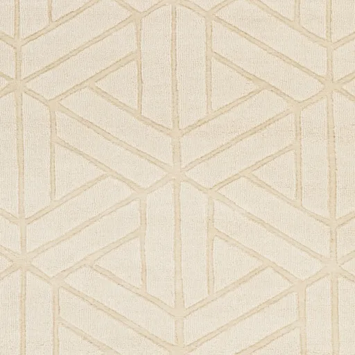 Mystique Beige Indoor 9' x 13' Handmade Rug