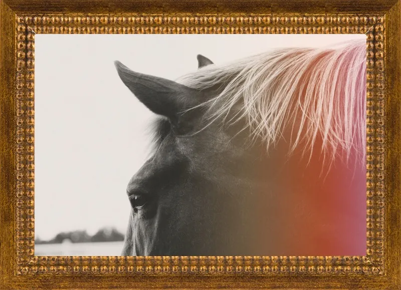 Pink Pony by Alicia Bock for Artfully Walls