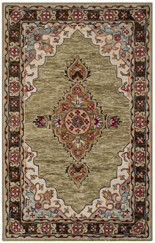Arlo Home Hand Tufted Area Rug, APN506A, Sage/Brown,  4' X 6'