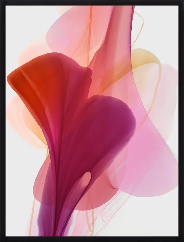 Abstract Flora Bloomlands 33 by Marta Spendowska for Artfully Walls