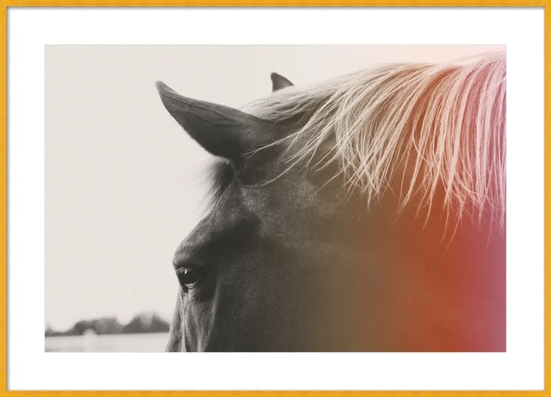 Pink Pony by Alicia Bock for Artfully Walls