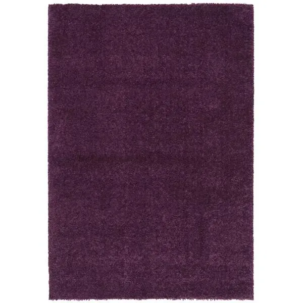 Autumn Loft Solid Shag Dark Area Rug