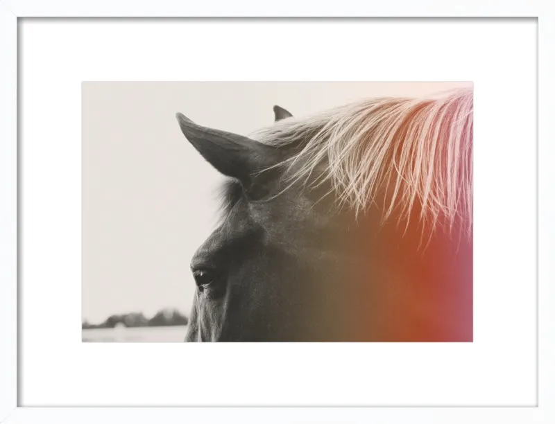 Pink Pony by Alicia Bock for Artfully Walls