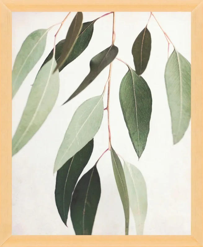 Eucalyptus Spring Three by Lupen Grainne for Artfully Walls