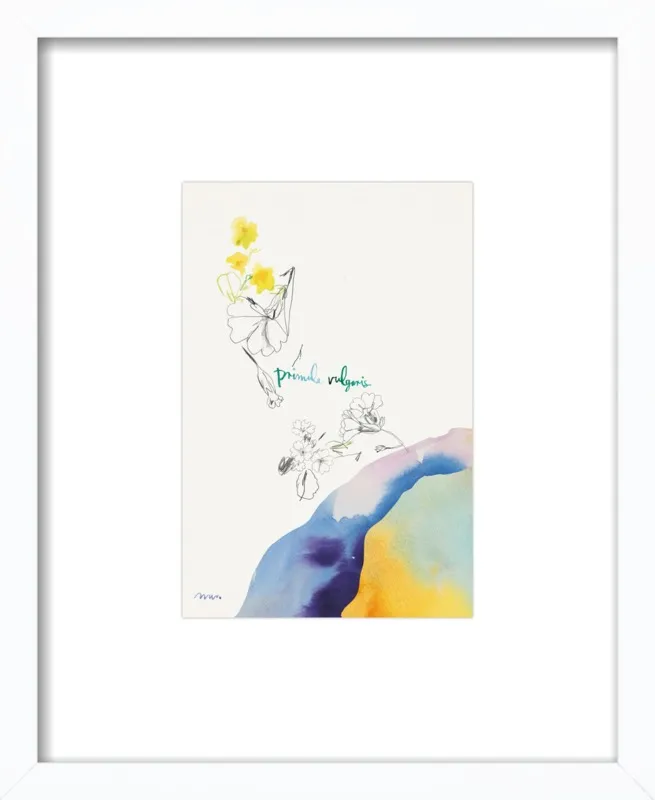 Primula Vulgaris by META WRABER for Artfully Walls