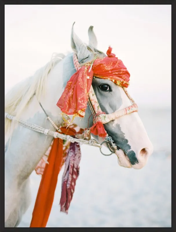 Marwari by Andrew Jacona for Artfully Walls