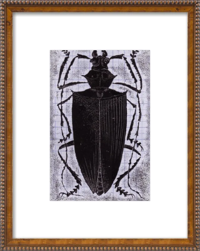 Black Beetle on Grey by Tennopent Sooster for Artfully Walls