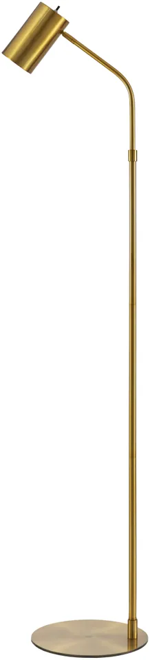 Ivel  Painted 62"H x 15"W x 11"D Accent Floor Lamp