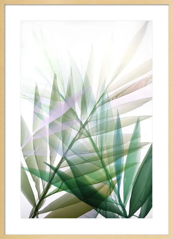 Tropical Study no. 8 by Marina Dunbar  for Artfully Walls