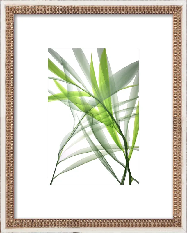 Tropical Study no. 3 by Marina Dunbar  for Artfully Walls