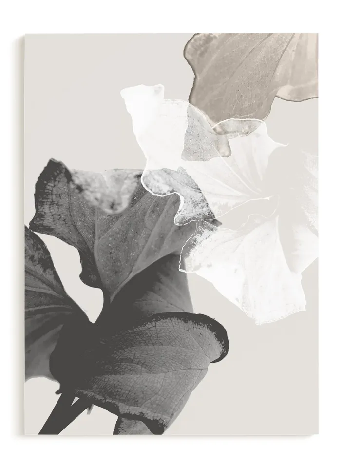 Refractions Limited Edition Fine Art Print