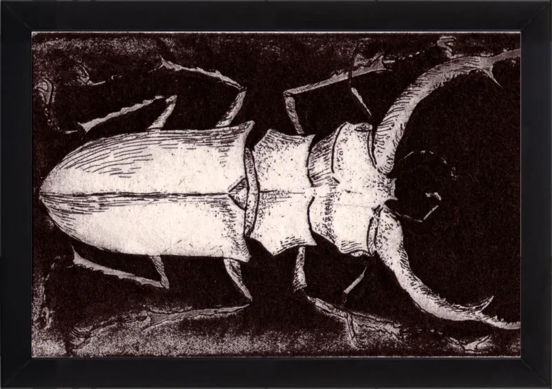 White Beetle on Dark Brown by Tennopent Sooster for Artfully Walls