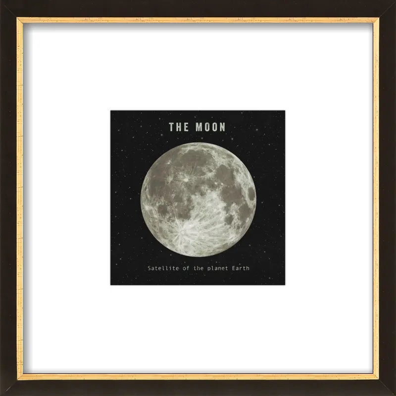 The Moon  by Terry Fan for Artfully Walls