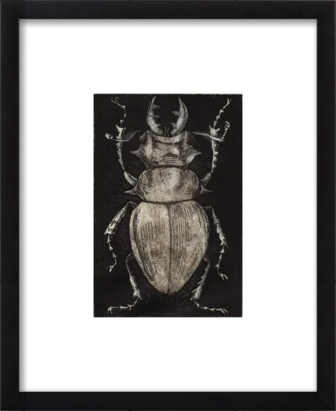 Grey Beetle on Black by Tennopent Sooster for Artfully Walls