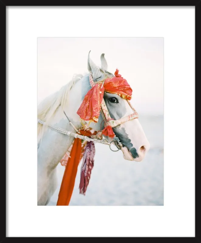 Marwari by Andrew Jacona for Artfully Walls