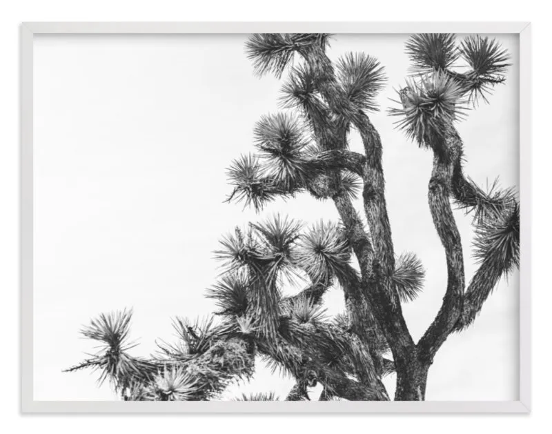 Joshua Tree In September Limited Edition Fine Art Print