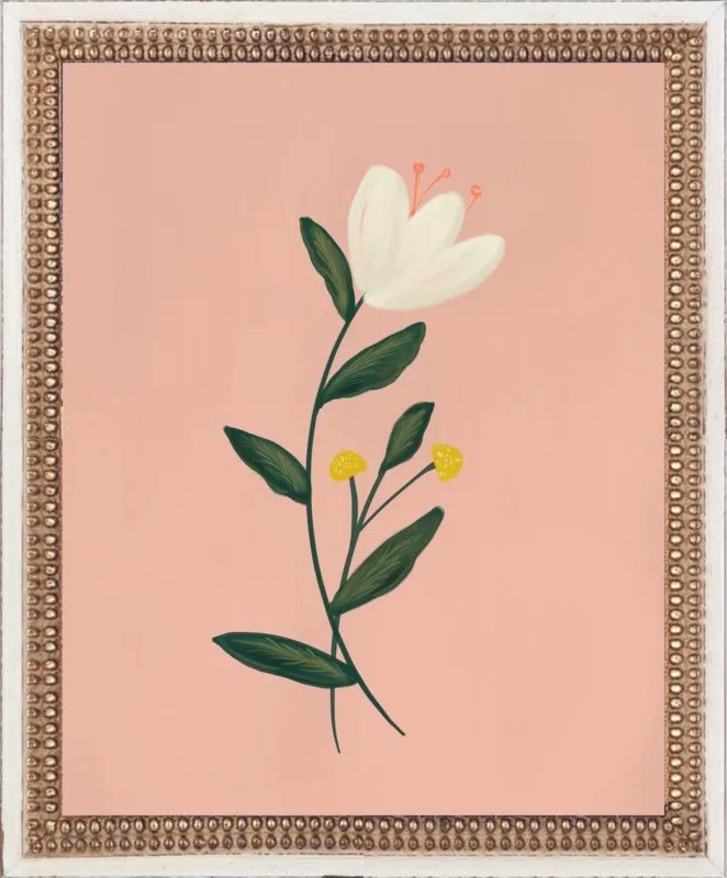 Botanical Illustration No. 3 by Nancy Noreth for Artfully Walls