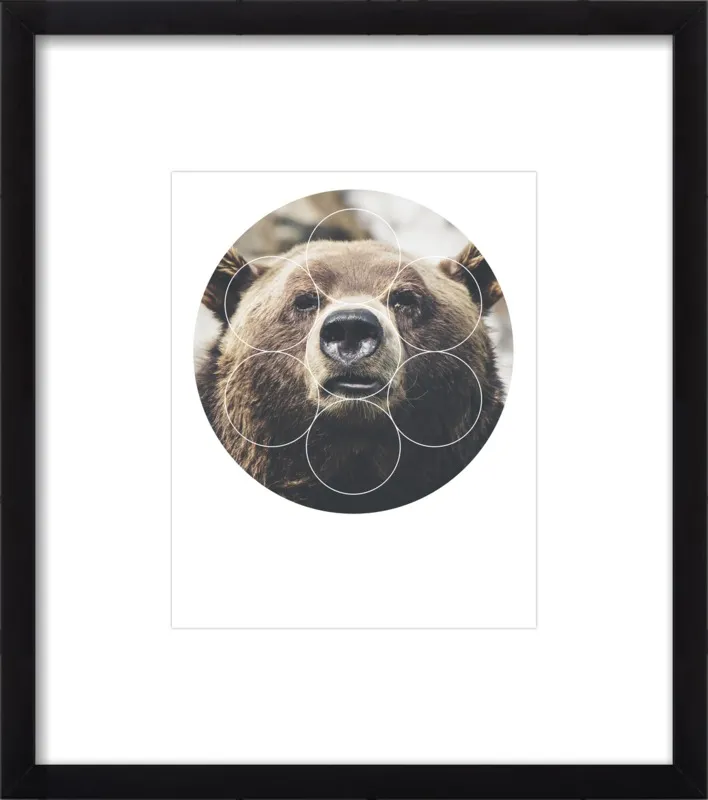 Big Bear Buddy - Geometric Photography by Emiliano Deificus for Artfully Walls