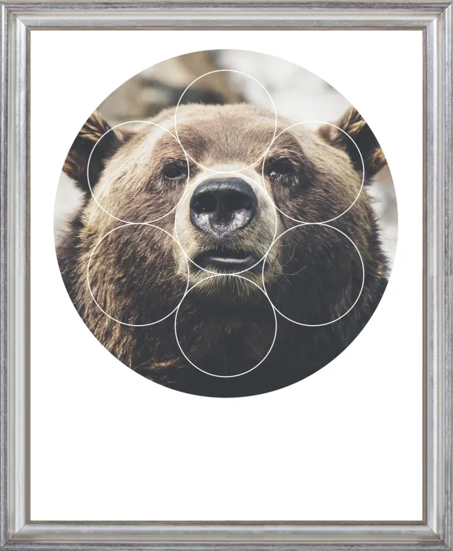Big Bear Buddy - Geometric Photography by Emiliano Deificus for Artfully Walls