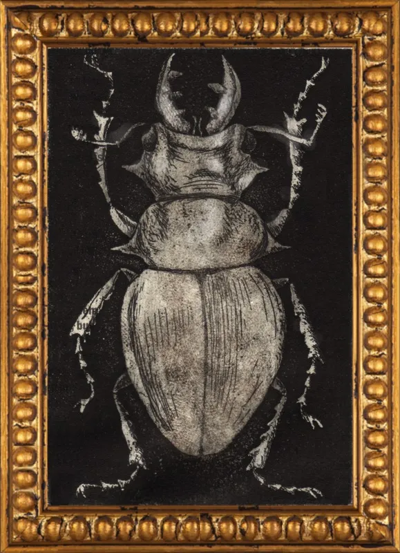Grey Beetle on Black by Tennopent Sooster for Artfully Walls