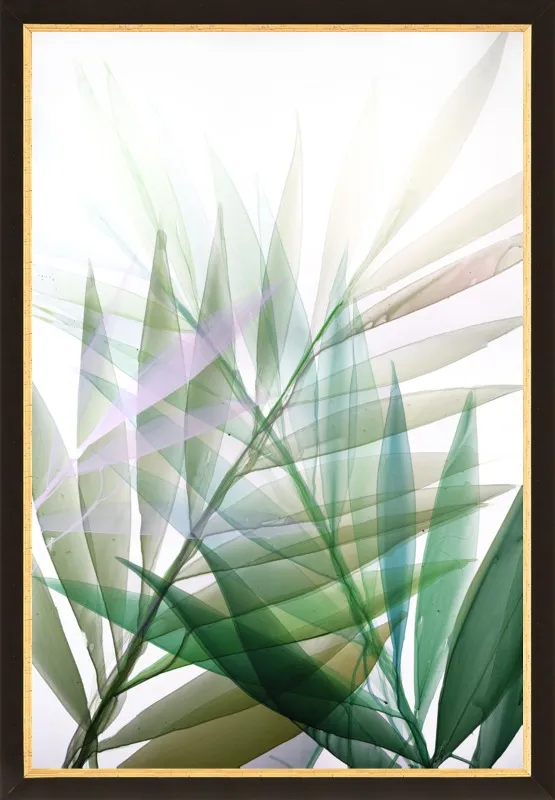 Tropical Study no. 8 by Marina Dunbar  for Artfully Walls