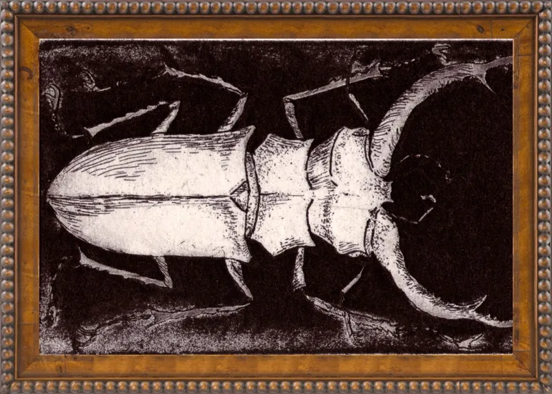 White Beetle on Dark Brown by Tennopent Sooster for Artfully Walls