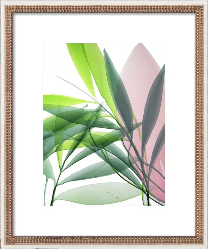 Tropical Study no. 15 by Marina Dunbar  for Artfully Walls