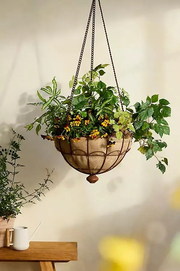 Scalloped Iron Wire Hanging Basket