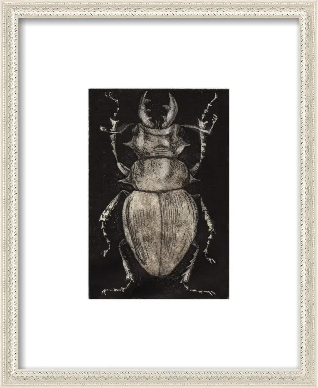 Grey Beetle on Black by Tennopent Sooster for Artfully Walls