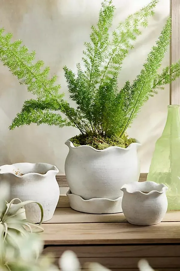 Terracotta Pie Crust Rim Planter, Round