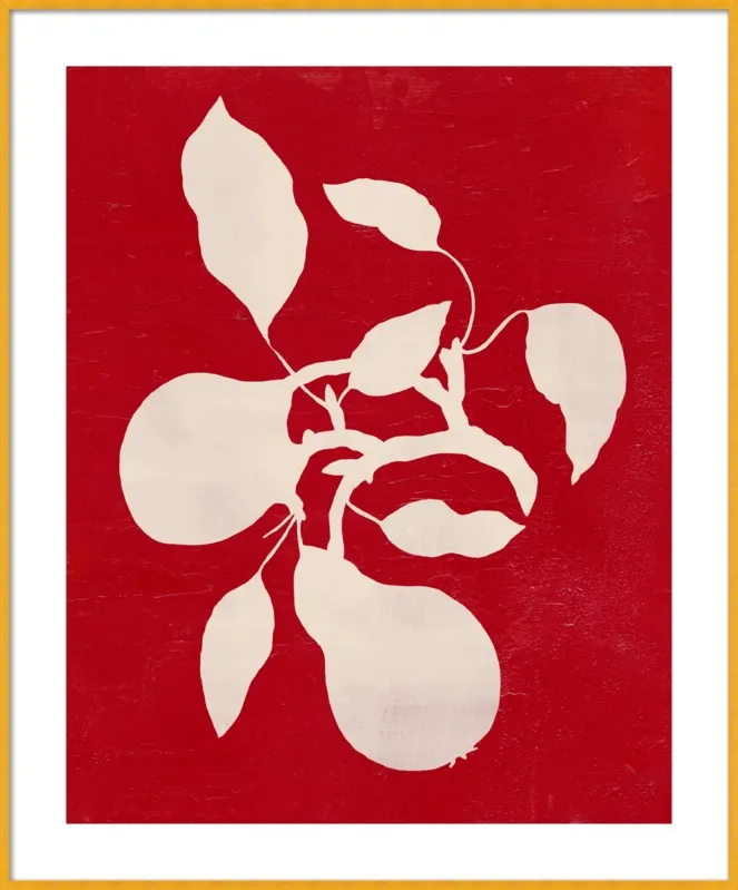pears by Ruti Shaashua for Artfully Walls
