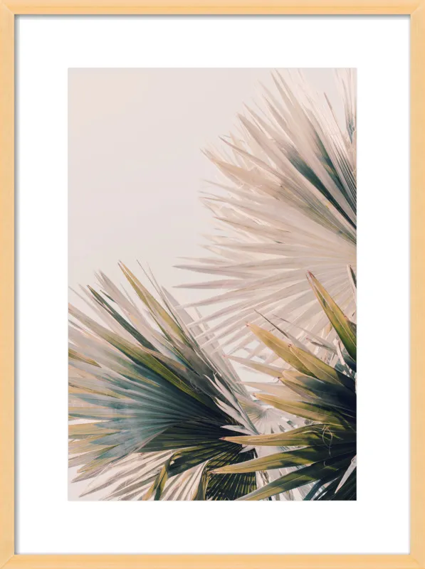 Capacity by Alicia Bock for Artfully Walls
