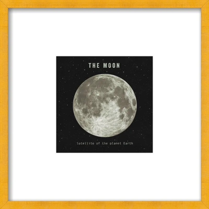 The Moon  by Terry Fan for Artfully Walls