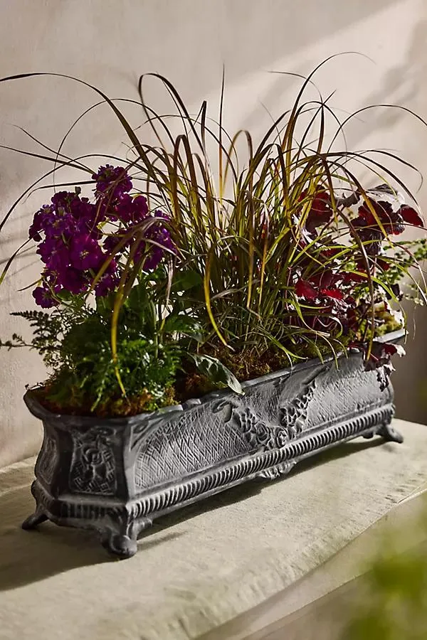Cast Iron French Trough Planter
