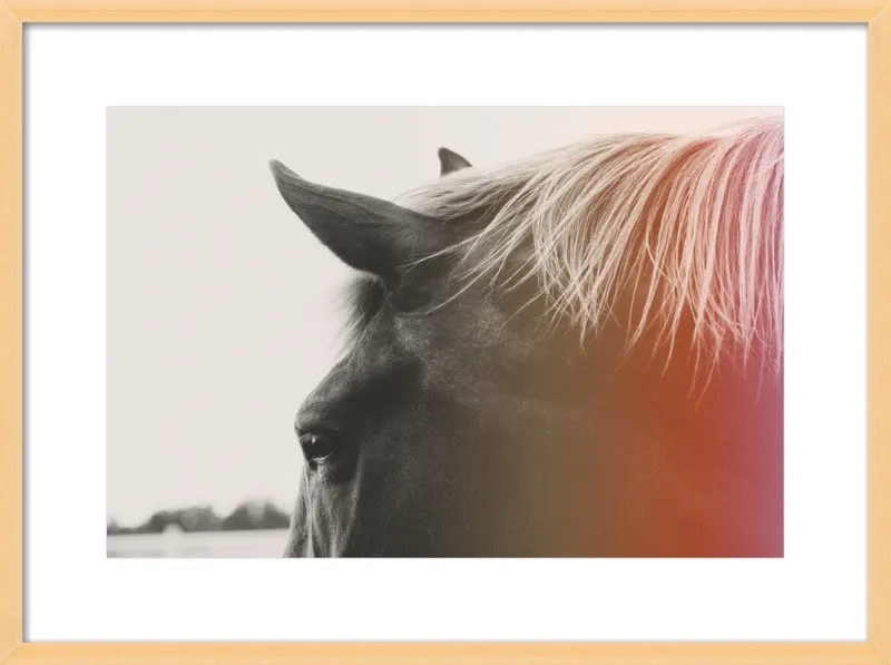 Pink Pony by Alicia Bock for Artfully Walls