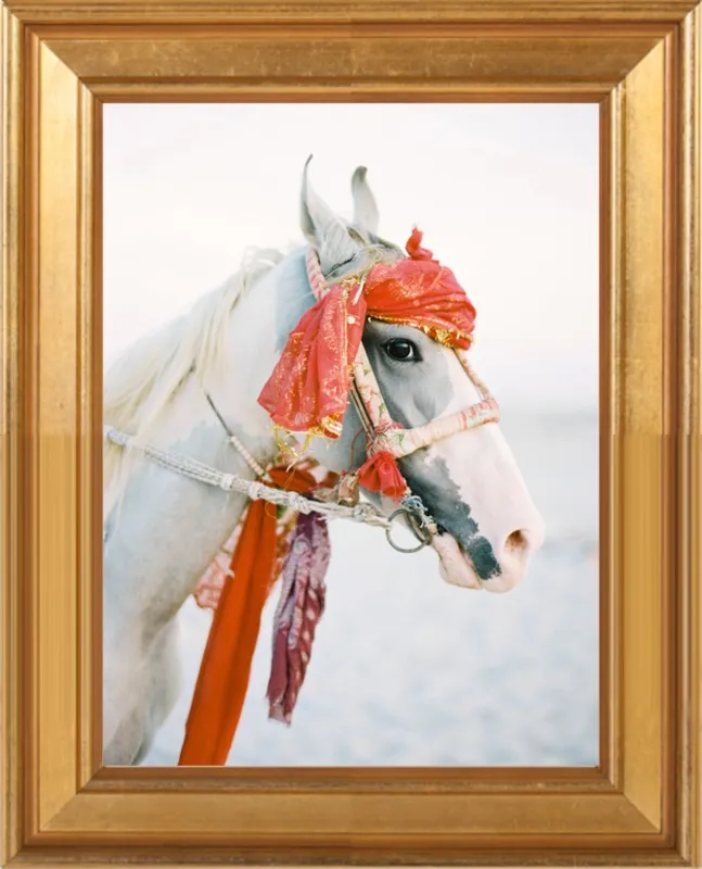 Marwari by Andrew Jacona for Artfully Walls