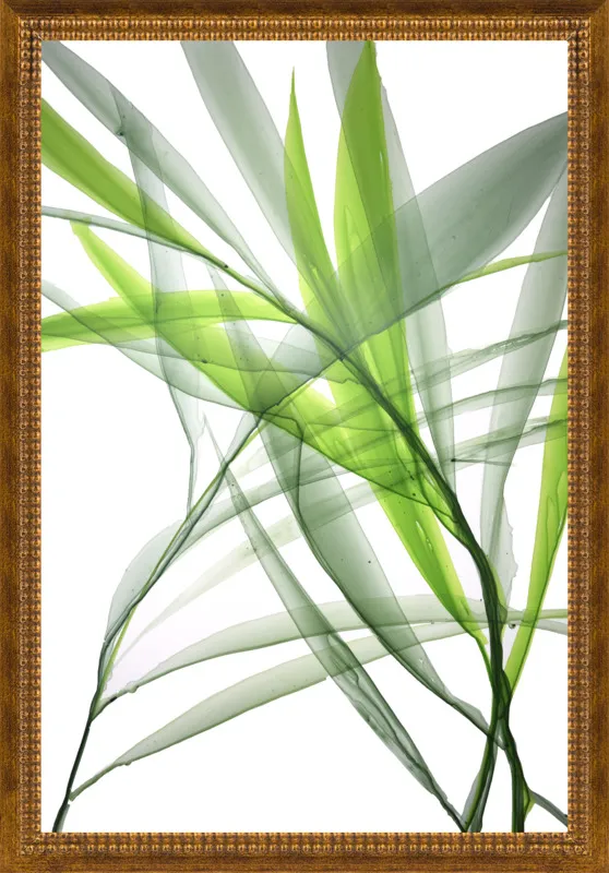 Tropical Study no. 3 by Marina Dunbar  for Artfully Walls