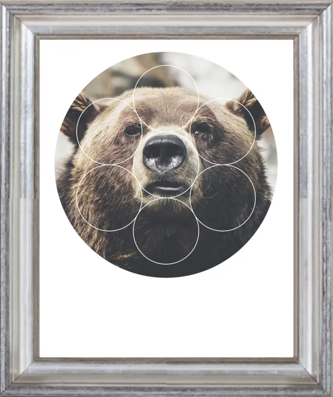 Big Bear Buddy - Geometric Photography by Emiliano Deificus for Artfully Walls