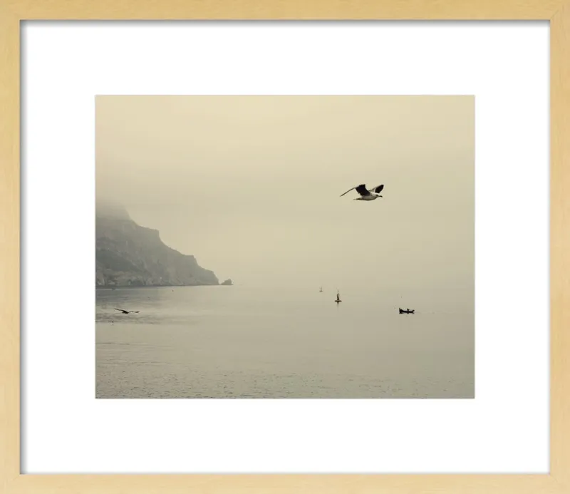 one day I will fly away by Ingrid Beddoes for Artfully Walls
