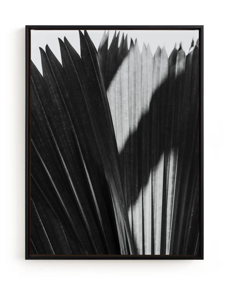Palmery 2 Limited Edition Fine Art Print