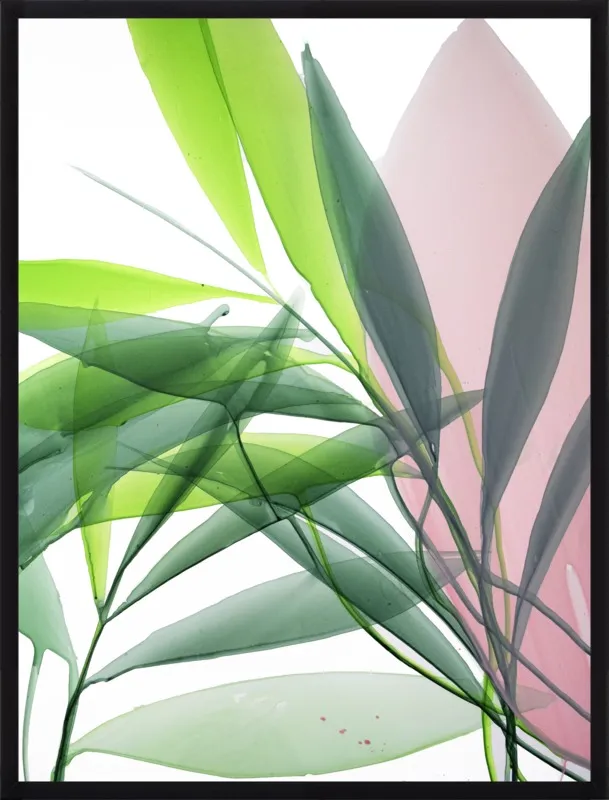 Tropical Study no. 15 by Marina Dunbar  for Artfully Walls