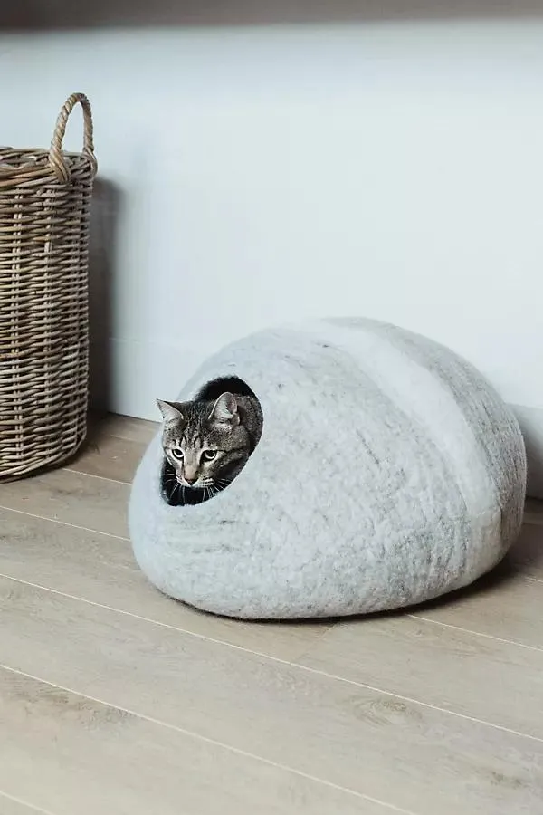 Horizon Cat Cave