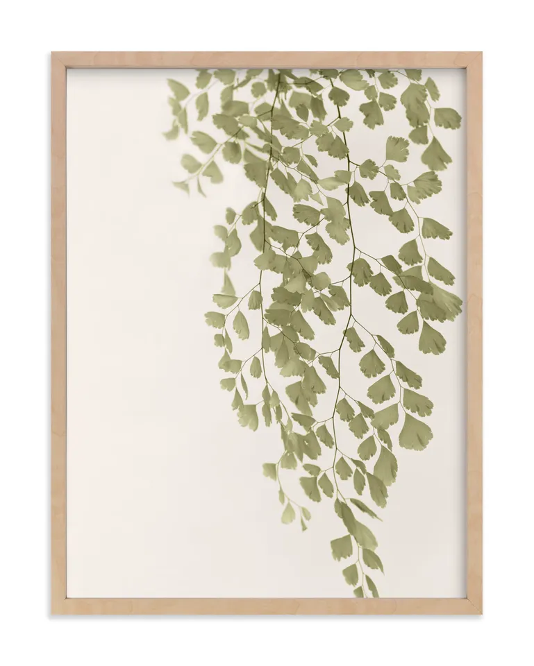 Softness Limited Edition Fine Art Print